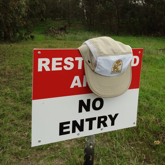 Chasing Tail - White/Beige