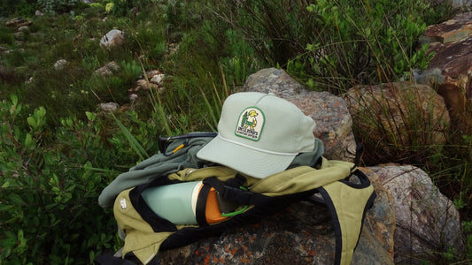 Everyday Chew Toy - Moss