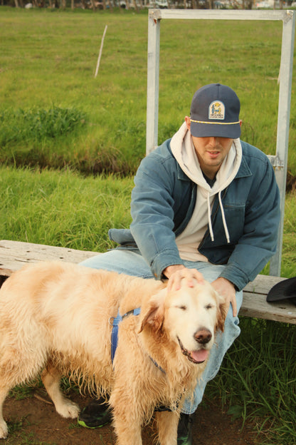 Everyday Chew Toy - Navy/Yellow
